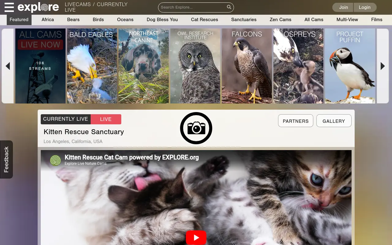 explore.org 첫 화면
