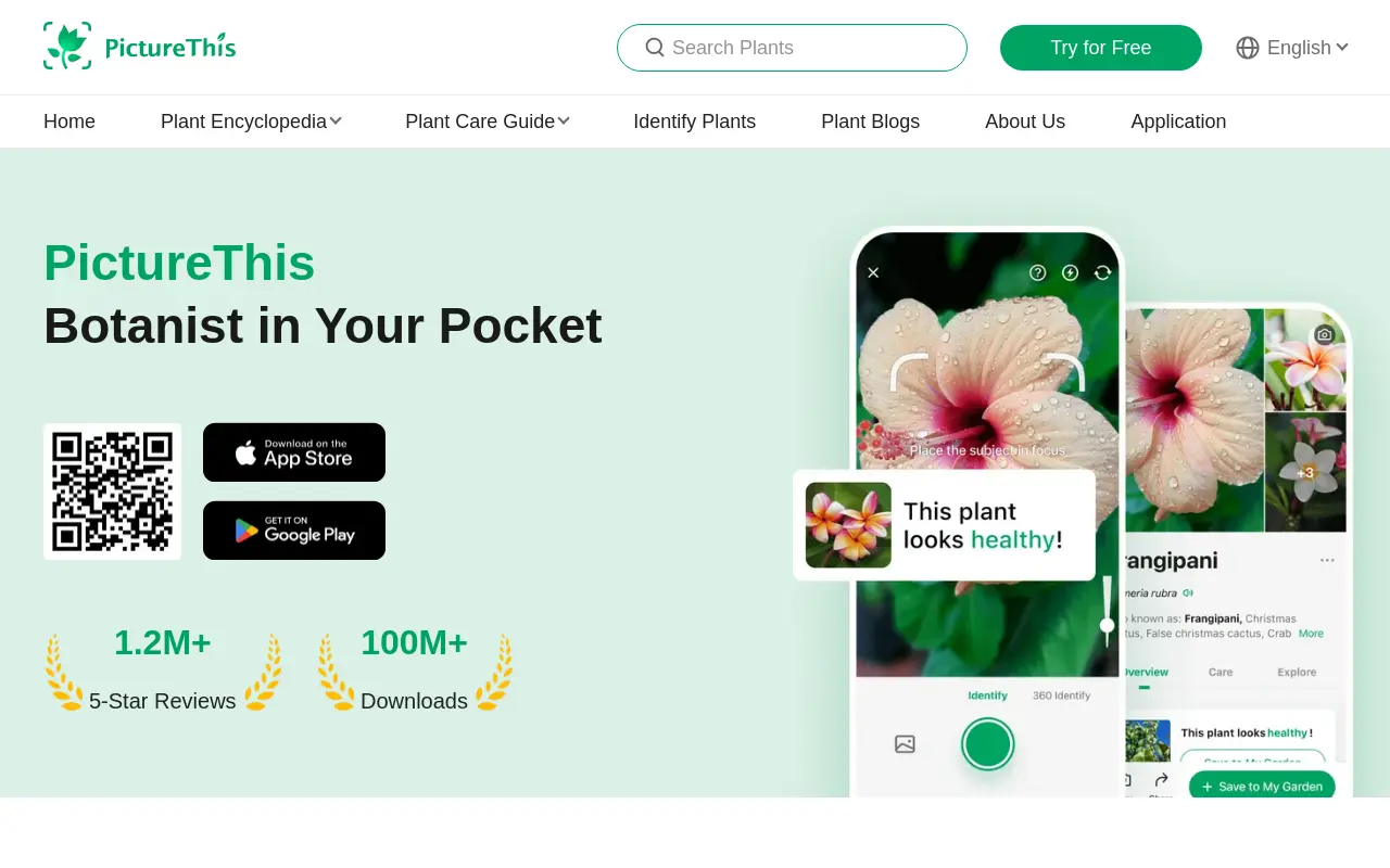 picturethisai.com 첫 화면